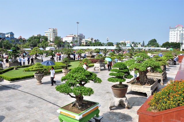 Khám phá lễ hội Bonsai & Suiseki Châu Á - Thái Bình Dương tại Suối Tiên - Ảnh 4.