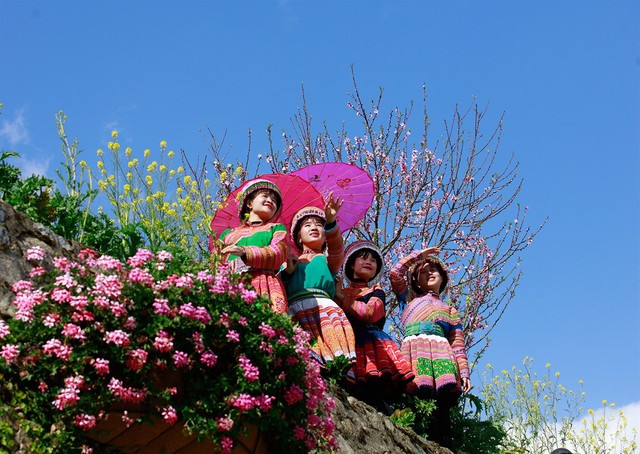 Đẹp mê mẩn thiên đường hoa đào tại xứ sở ngàn mây Sun World Fansipan Legend - Ảnh 10.