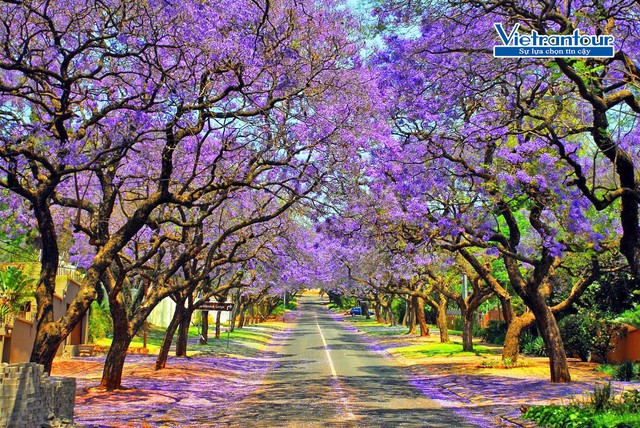 Lục địa đen Nam Phi bất ngờ xướng tên trong danh sách điểm đến ưa thích của tín đồ du lịch Việt - Ảnh 2.