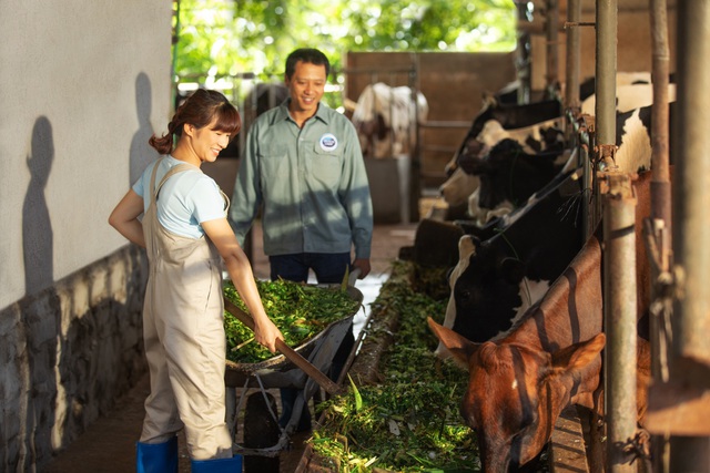 Theo chân nhiếp ảnh gia nổi tiếng: Bất ngờ trước nỗ lực sản xuất dòng sữa chuẩn Hà Lan của nhiều thế hệ nông dân Việt - Ảnh 1.