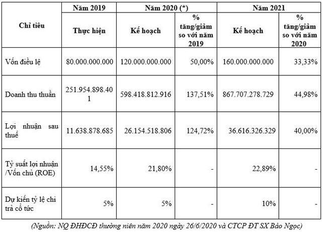 Vươn lên trong đại dịch, Bảo Ngọc kỳ vọng đạt doanh thu tăng trưởng 240%, niêm yết trên HNX - Ảnh 2.