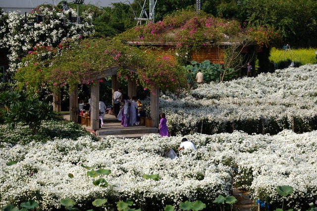Địa điểm check-in các loài hoa đẹp bậc nhất trên thế giới nằm giữa lòng Hà Nội - Ảnh 2.