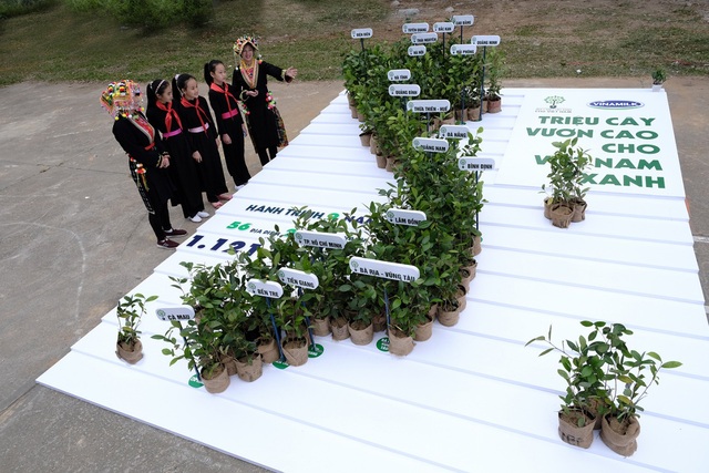 Trao tặng thêm 270.000 cây xanh, Vinamilk và Quỹ 1 triệu cây xanh cho Việt Nam chính thức hoàn thành mục tiêu đề ra - Ảnh 6.