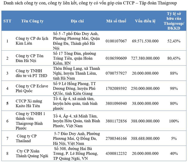 Giải mã đà tăng giá hơn 300% của cổ phiếu Thaiholdings trong tháng 12 - Ảnh 1.