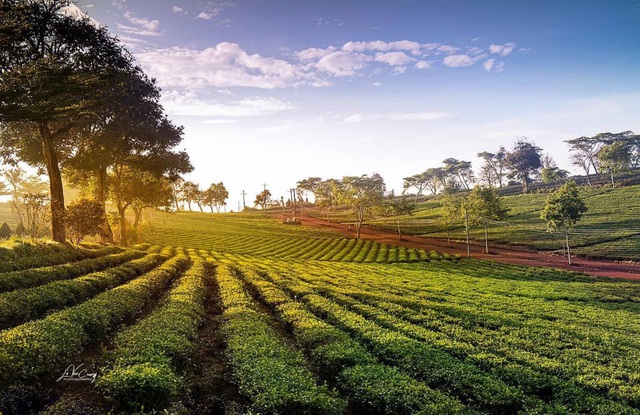 Second-home trên cao nguyên: Xu hướng đầu tư bất động sản thời Covid - Ảnh 1.