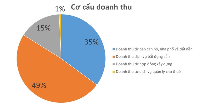 DXG: Năm 2019 lãi 1.217 tỷ đồng, doanh thu từ bán căn hộ tăng 22% so với cùng kỳ - Ảnh 1.