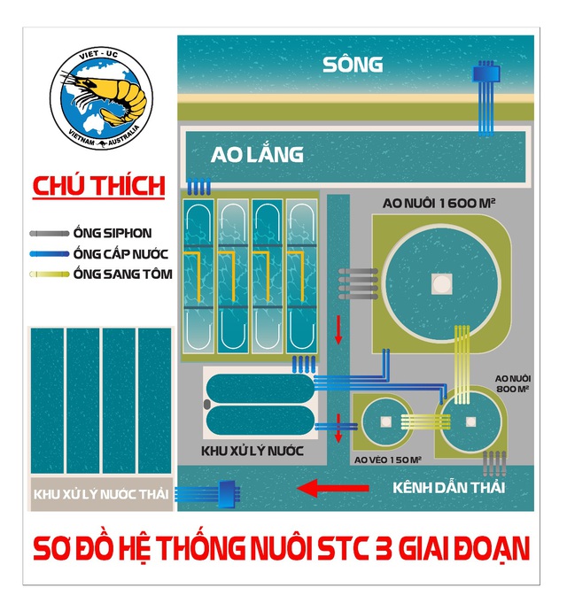 Hiệu quả vượt trội từ quy trình nuôi tôm siêu thâm canh 3 giai đoạn ứng dụng công nghệ cao - Ảnh 1.