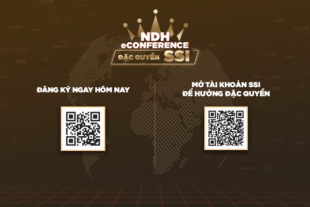 NDH eConference – Chương trình tư vấn “đặc quyền cho Nhà đầu tư của SSI” - Ảnh 2.