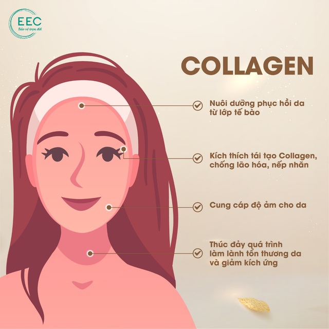 TPBVSK Pure Collagen hỗ trợ làm đẹp da và hạn chế lão hóa da - Ảnh 1.