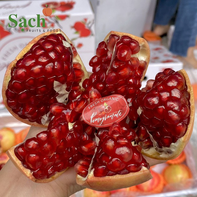 Sạch Fruits - Hoa quả sạch từ tâm người bán đến tay người dùng - Ảnh 1.