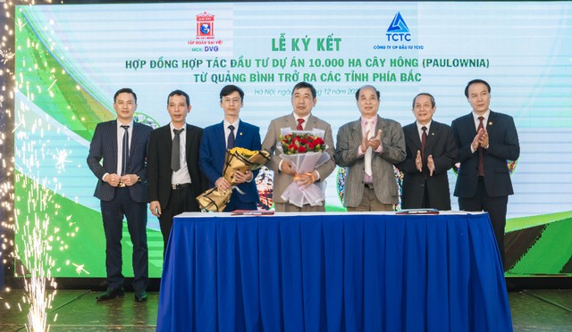 Sơn Đại Việt (DVG) hợp tác đầu tư 10.000 ha cây Hông với TCTC - Ảnh 1.
