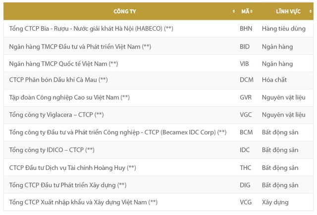 Tân binh trong Top 50 công ty niêm yết tốt nhất - Ảnh 1.