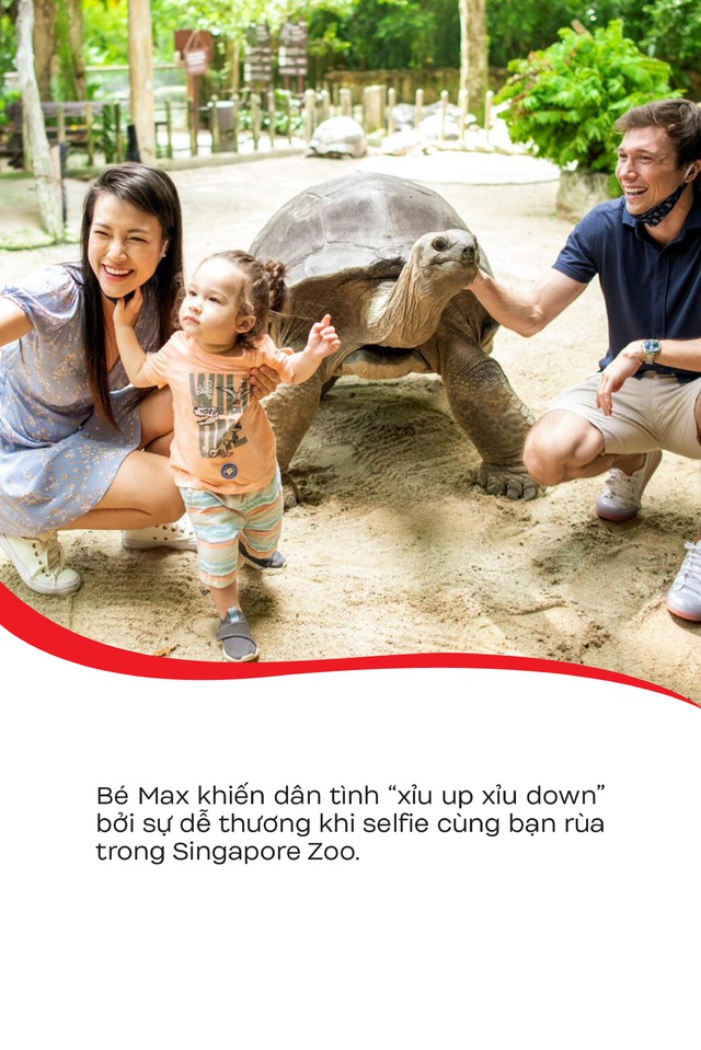 Loạt khoảnh khắc đốn tim của con trai MC Hoàng Oanh khi đi sở thú tại Singapore - Ảnh 3.