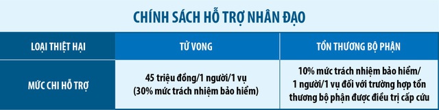 Bảo hiểm bắt buộc TNDS của chủ xe máy: Mua trước để khỏi lo sau - Ảnh 2.