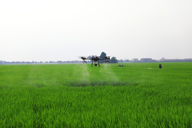 Drone đã làm được gì cho nông dân và nông nghiệp Việt Nam - Ảnh 2.