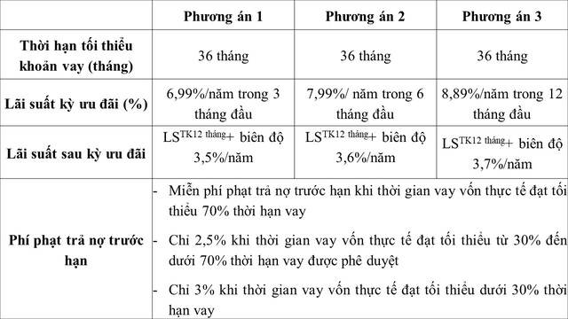 BAOVIET Bank ưu đãi doanh nghiệp vay mua Ô tô lãi suất từ 6,99%/năm - Ảnh 1.