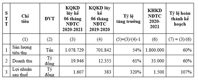 HSG: Quý II NĐTC 2020-2021 lợi nhuận sau thuế 1.035 tỷ đồng, lũy kế 6 tháng đạt 1.607 tỷ đồng - Ảnh 2.