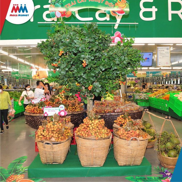 MM Mega Market đồng hành cùng Bắc Giang tiêu thụ hàng trăm tấn nông sản - Ảnh 1.