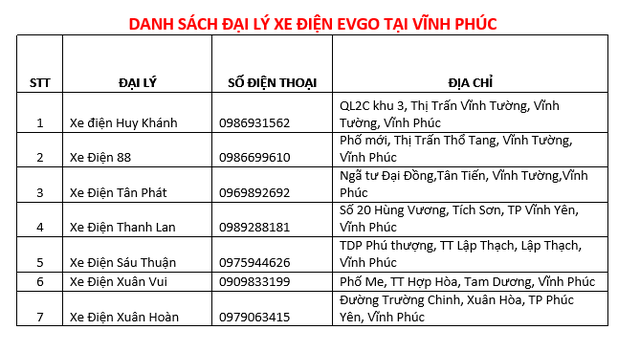 Khai trương EVgo Center: Sơn Hà chung tay phát triển xe máy điện tại Việt Nam - Ảnh 4.