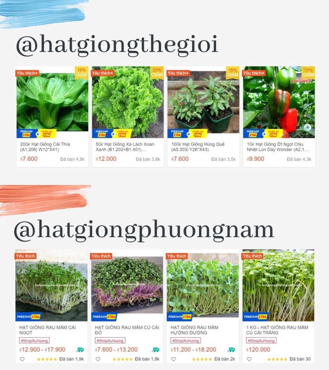 Giới trẻ Sài Gòn tự trồng cả vườn rau, hóa giải “bài toán” thực phẩm mùa dịch - Ảnh 2.