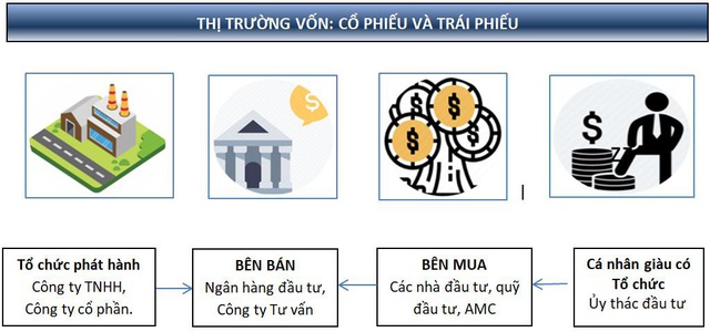 Tập đoàn Trí Việt: Sứ Mệnh Thịnh Vượng - Ảnh 1.