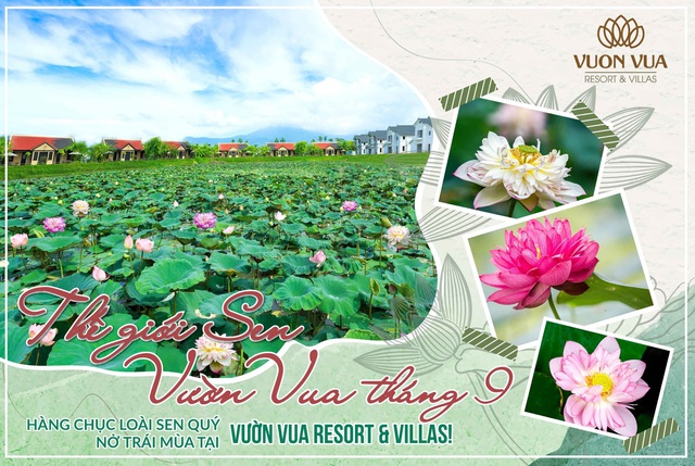 Vườn Vua Resort & Villas: Tiến gần hơn đến mục tiêu hình thành Festival hoa sen Quốc tế - Ảnh 1.