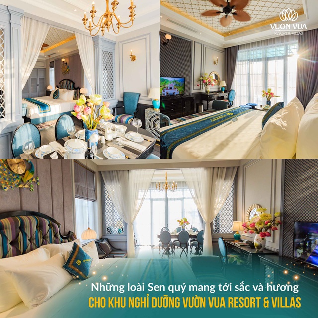 Vườn Vua Resort & Villas: Tiến gần hơn đến mục tiêu hình thành Festival hoa sen Quốc tế - Ảnh 3.