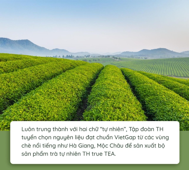 Quy trình làm ra chai trà hoàn toàn tự nhiên chinh phục cộng đồng healthy - Ảnh 1.