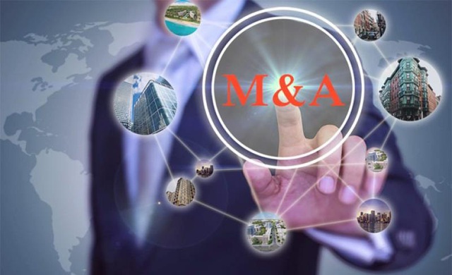 Các doanh nghiệp M&A phủ sắc xanh trên thị trường chứng khoán - Ảnh 2.