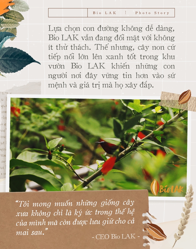 Bio LAK và hành trình bền bỉ bảo tồn những giá trị Việt - Ảnh 5.