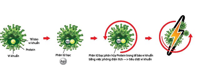 Cơ chế hoạt động của phân tử Nano Silver (Bạc) trong sản phẩm TOA NanoClean.