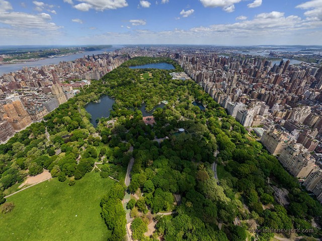 Công viên Central Park tại New York. Ảnh: Pinterest.