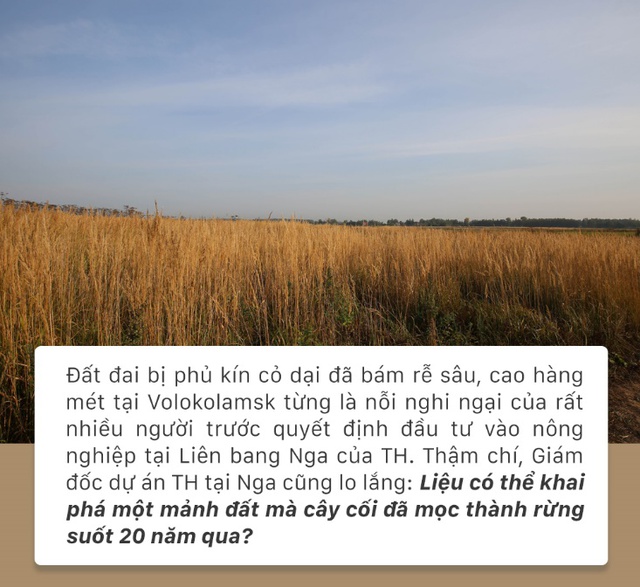 Ngỡ mãi mênh mông cỏ dại, hàng chục ngàn héc ta đồng hoang hồi sinh với hành trình khắc tên TH - Ảnh 1.