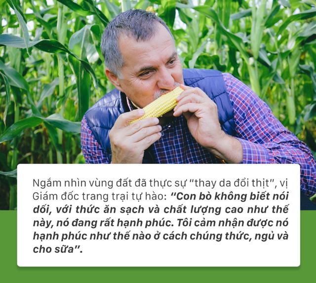 Ngỡ mãi mênh mông cỏ dại, hàng chục ngàn héc ta đồng hoang hồi sinh với hành trình khắc tên TH - Ảnh 8.