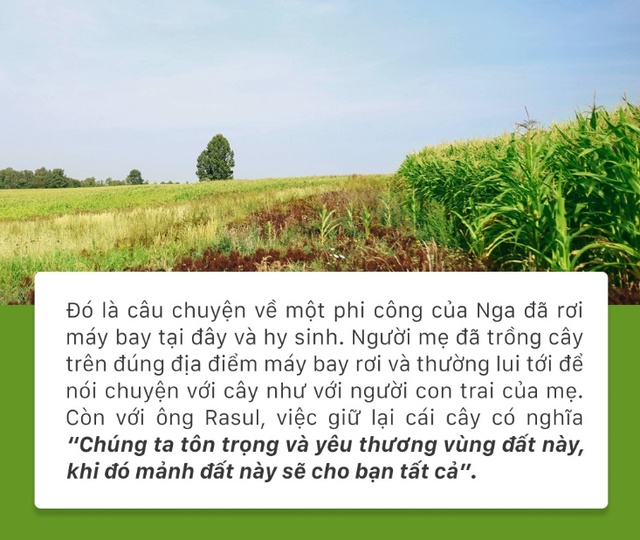 Ngỡ mãi mênh mông cỏ dại, hàng chục ngàn héc ta đồng hoang hồi sinh với hành trình khắc tên TH - Ảnh 11.