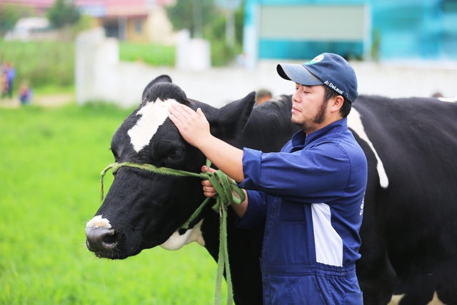 Đến hẹn lại lên, Hoa Hậu Bò Sữa 2018 đang chuẩn bị vào hội - Ảnh 1.