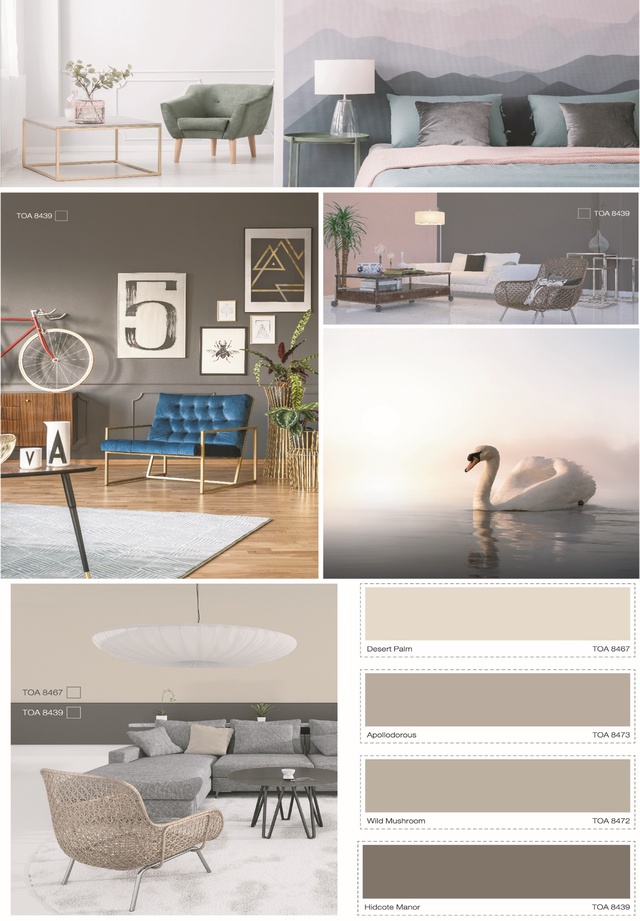 Xu hướng sắc màu năm 2019 - TOA The Color Story - Ảnh 4.