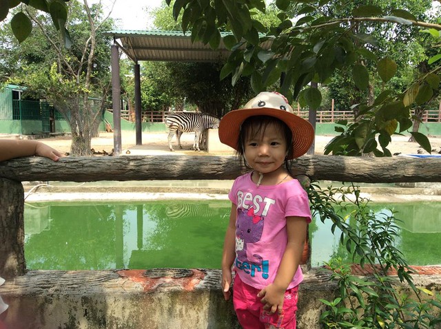 Cẩm nang chơi lễ cực vui cho cả gia đ&igrave;nh - Ảnh 6.