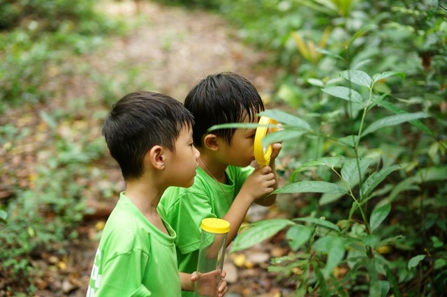 Gia đình Đăng Khôi, Lý Hải hào hứng trong hành trình trải nghiệm thiên nhiên - Ảnh 7.