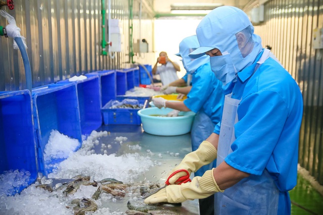 Sắm Tết thả ga tại MM Mega Market - Ảnh 2.
