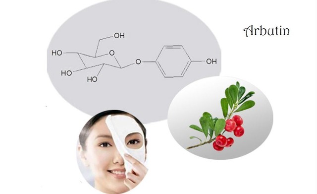 Những th&agrave;nh phần thi&ecirc;n nhi&ecirc;n tốt cho l&agrave;n da phụ nữ - Ảnh 3.