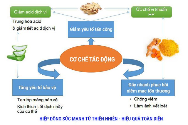 Đau dạ dày đừng tưởng chỉ dùng tinh nghệ nano là đủ - Ảnh 2. Đau dạ dày đừng tưởng chỉ dùng tinh nghệ nano là đủ - Ảnh 2.