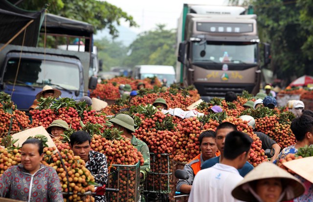 Những điều chưa biết về quy trình đưa hoa quả truyền thống lên các chuyến bay - Ảnh 2.