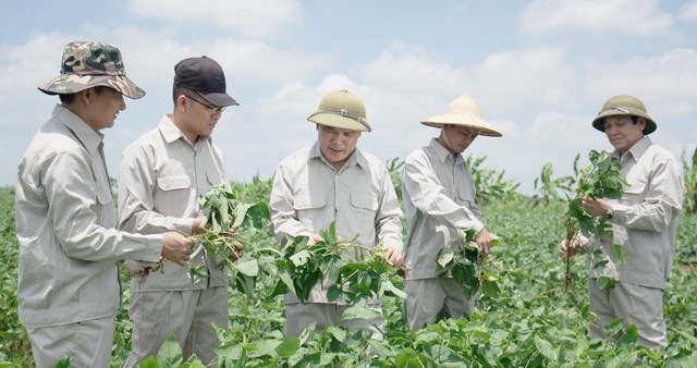 Bộ Y tế chính thức công nhận vùng trồng đậu nành dược liệu của Bảo Xuân đạt chuẩn GACP – WHO - Ảnh 4.
