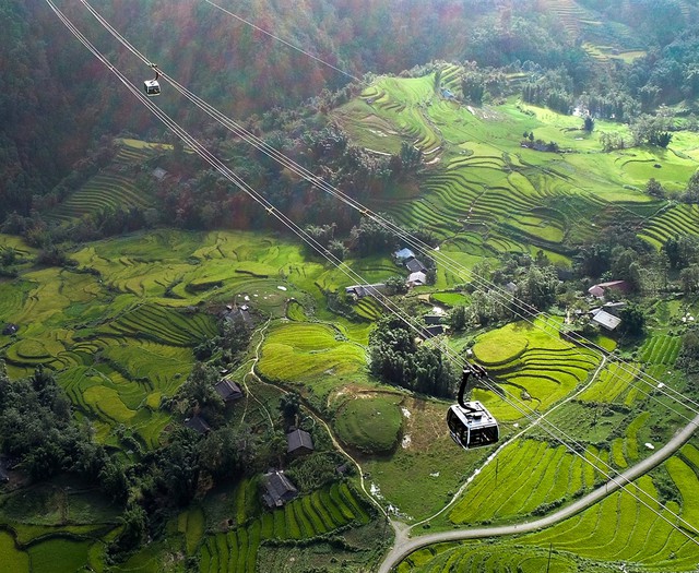 Tới ngay Fansipan đi, lúa đã nhuộm vàng cả thung lũng Mường Hoa rồi! - Ảnh 6.