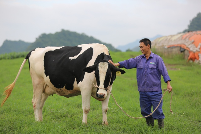 &ldquo;Luyện b&ograve;&rdquo; để gi&agrave;nh vương miện &ldquo;Hoa hậu&rdquo; - Ảnh 3.