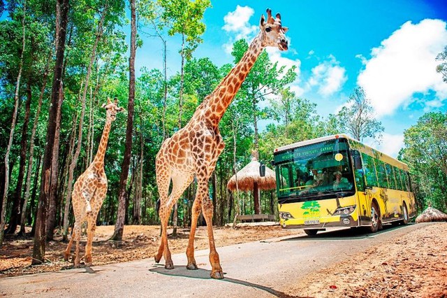 Mu&ocirc;n điểm check in lung linh dịp lễ 2/9 - Ảnh 25.