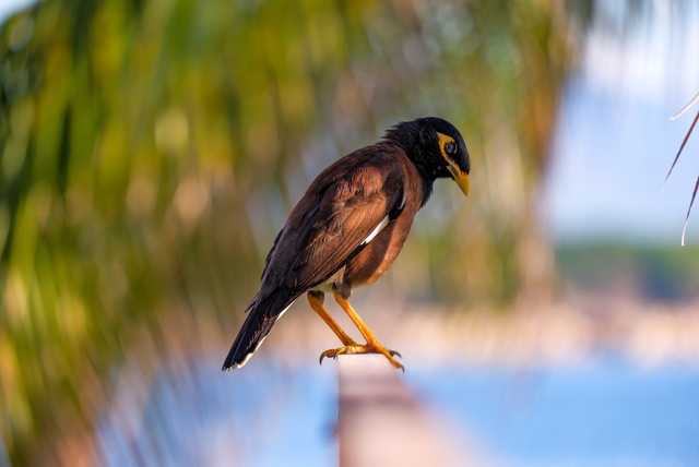 Fujifilm ra mắt máy ảnh Mirrorles X-T100 phong cách cổ điển - Ảnh 2.