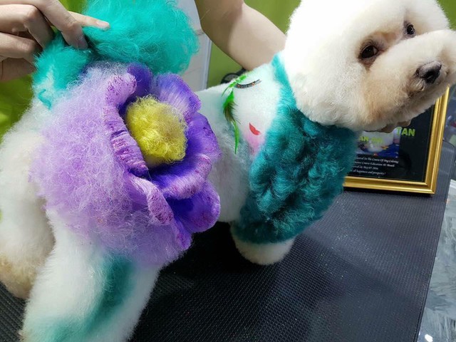 Những “bộ cánh” độc đáo dành cho cún yêu - Ảnh 6. Những “bộ cánh” độc đáo dành cho cún yêu - Ảnh 6.
