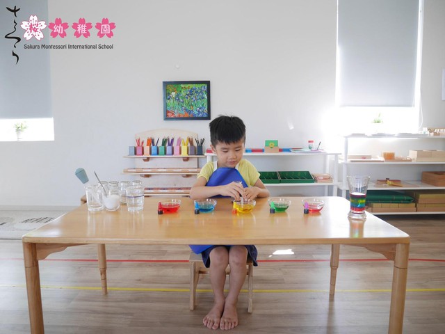Nuôi dạy con theo phương pháp Montessori: Những điều cha mẹ cần hiểu - Ảnh 1.